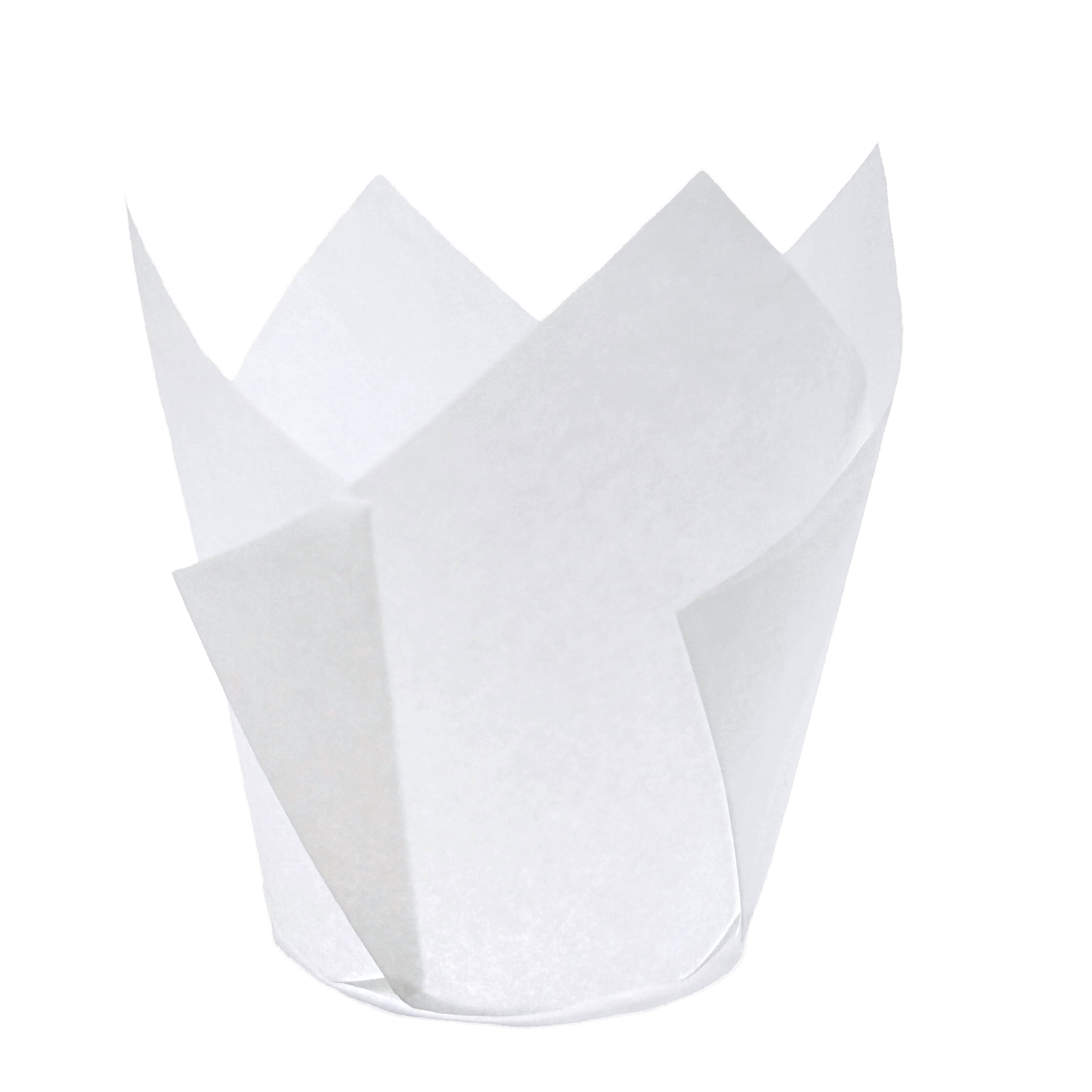 White Tulip Baking Cups, 24 Count, by Way To Celebrate