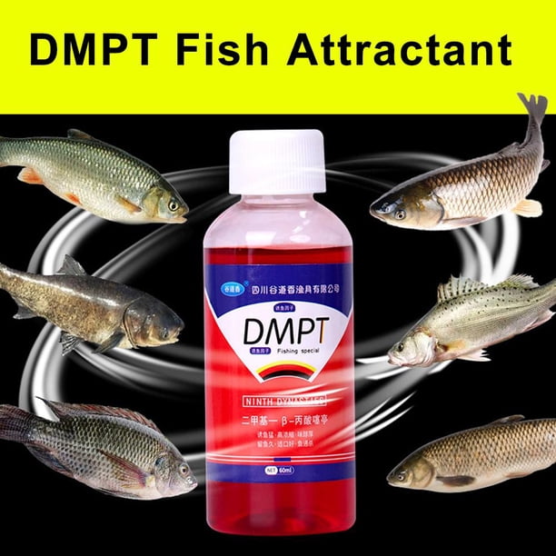 80g Attractant DMPT Pêche – Poudre Haute Concentration – Pour Carpe, Truite, Tilapia – Appât Efficace
