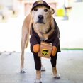 thumbnail image 4 of Pet Halloween UPS Courrier Costume, 4 of 6