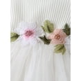 thumbnail image 5 of hirigin Infant Baby Girls Princess Dress Knitted Ribbed Waist Flower Embroidery Round Neck Long Sleeve Layered Tulle Tutu Dress, 5 of 8