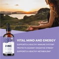 thumbnail image 2 of VIMERGY Organic Liquid Zinc, 120 Servings - Refill (240 ml), 2 of 5