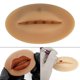 thumbnail image 3 of 2x Labios De Práctica De Tatuaje Suave Para Suministros De Tatuaje Artistas De Tatuaje Principiantes SM SunniMix Labios Práctica Silicona, 3 of 8