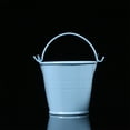TUIBELY Cinnamon Broom Mini Tin Bucket for Plants and Decor