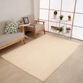 thumbnail image 7 of NUZYZ Antiskid Thicken Coral Fleece Floor Mat Rug Carpet Living Room Bedroom Decor Beige Yellow 50*80cm, 7 of 7
