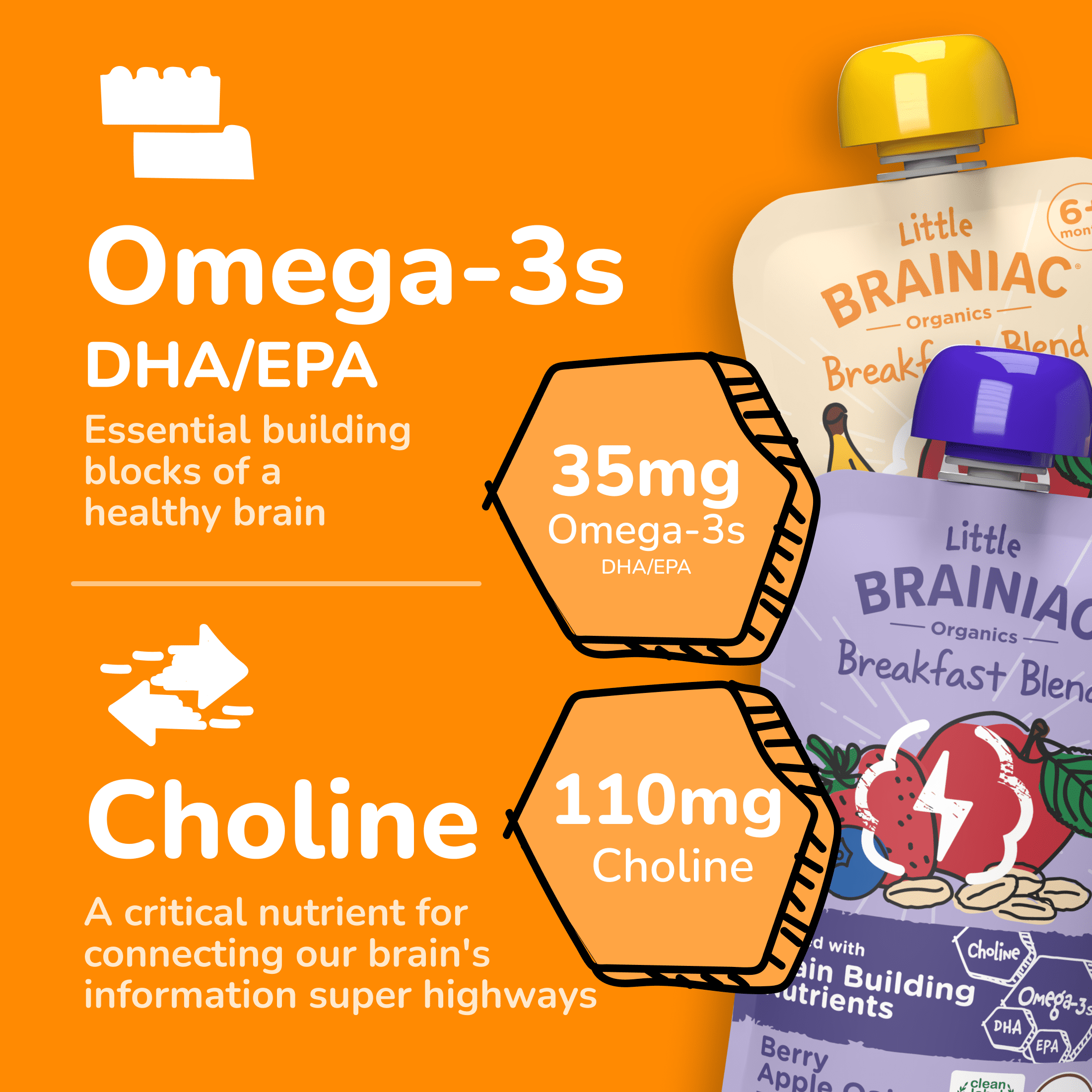 Little Brainiac Organic Fruit & Oat Variety Pack with BrainPack, 3.5oz, 6ct