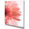 thumbnail image 2 of Grands Pétales de Fleurs de Marguerites Roses - Impression d'Art Floral sur Toile, 2 of 3
