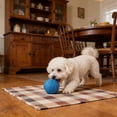 thumbnail image 6 of Squeaky Dog Ball Toy, Soft Rubber Interactive Chew Toy for Puppy Teething, Textured Bouncy Pet Play Ball for Small Medium Dogs, Colorful Fetch Toy for Indoor Outdoor Play, 6 of 8