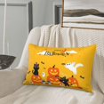 thumbnail image 5 of Sikiie Happy Halloween1 Print Plush Pillow Cover, Wrinkle-proof and Stain-resistant Pillow Protector without Pillow Core, Home Decoration-20"x30", 5 of 6
