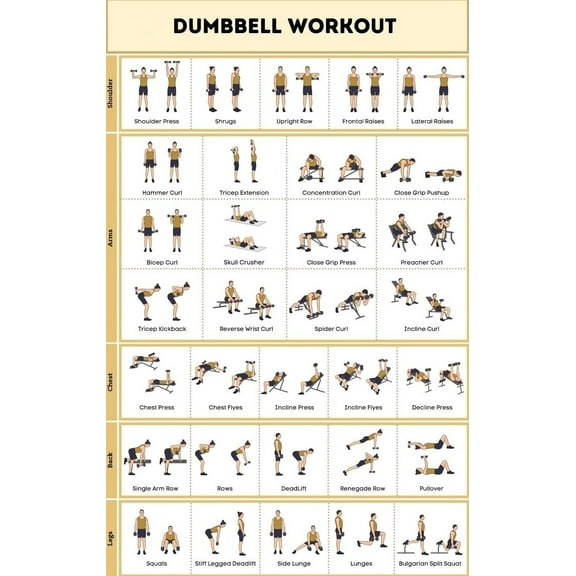 Dumbbell Workout Poster  No-Equipment Exercise Poster for Home, Gym Training