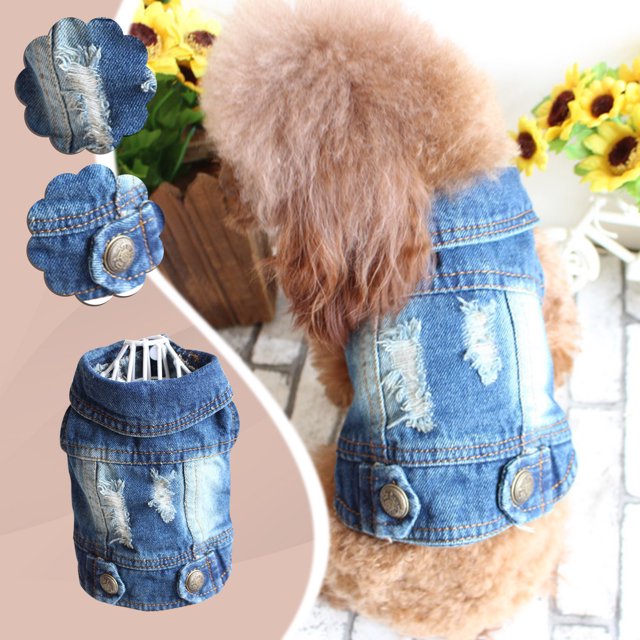 Xihbxyly Chaleco para Perro Teddy Bomei, Moda Primavera-Verano, Diseño Moderno de Agujeros Rotos, Cómodo y Fácil de Usar, Ropa para Perros y Gatos, Colores Brillantes, Tabla de Tallas Incluida, Varia