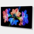 thumbnail image 2 of Abstract Blue Red Flower on Black - Extra Large Floral Wall Art, 2 of 4