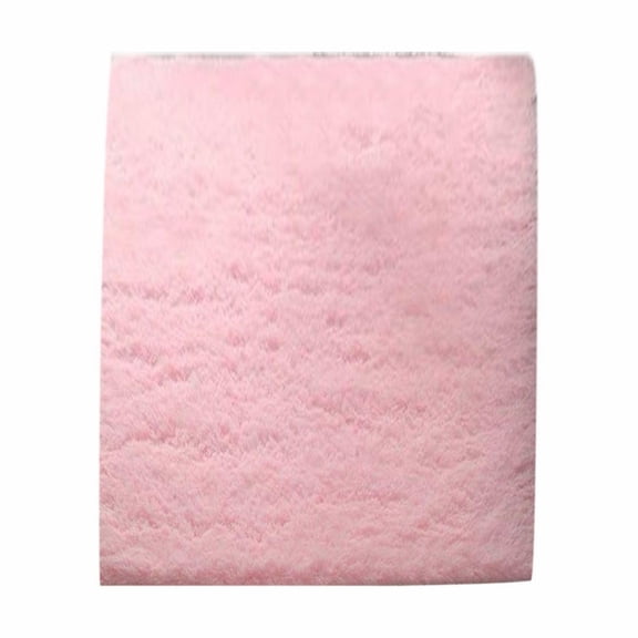Modern Soft Shaggy Rug for Bedroom, Living Room, Dorm, And teen Room, Non-Slip Plush Area Rug with Comfortable Furry Texture for Indoor Home Decor, 1* Carpet