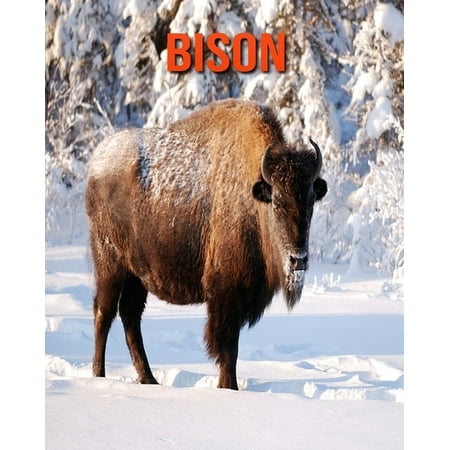 Bison : Learn About Bison and Enjoy Colorful Pictures (Paperback)