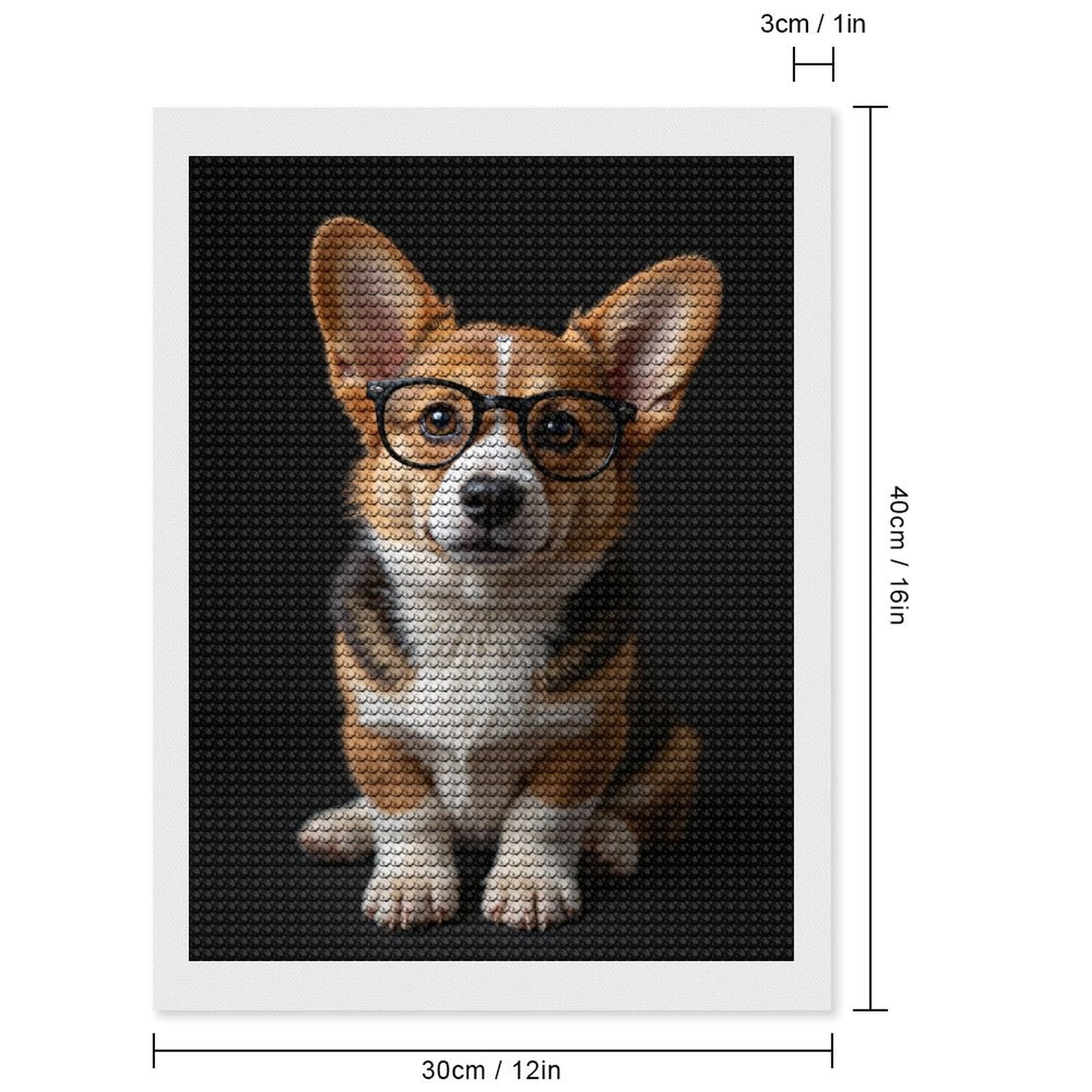 Diamond Art Kits for Adults, Dog Glasses Cute Corgi Portrait 5D Diamond Painting Kits for Adults Beginners, DIY Full Drill Diamond Painting, Gem Art and Crafts 12x16