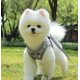 thumbnail image 2 of Anyifan Juego de arnés y correa para gatos y cachorros, malla a cuadros ajustable para exteriores, arnés para perros pequeños, seguridad de escape, transpirable, cómodo, chaleco reflectante para perros para cachorros y gatos Ormromra WMZL-542-1, 2 of 8