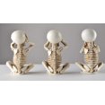 thumbnail image 7 of Skeletons Statue Hear See Speak No Evil Baby Halloween Figurines Home Decorative, Set of Three, 4.8 in, Oyster White Polyresin, 7 of 7