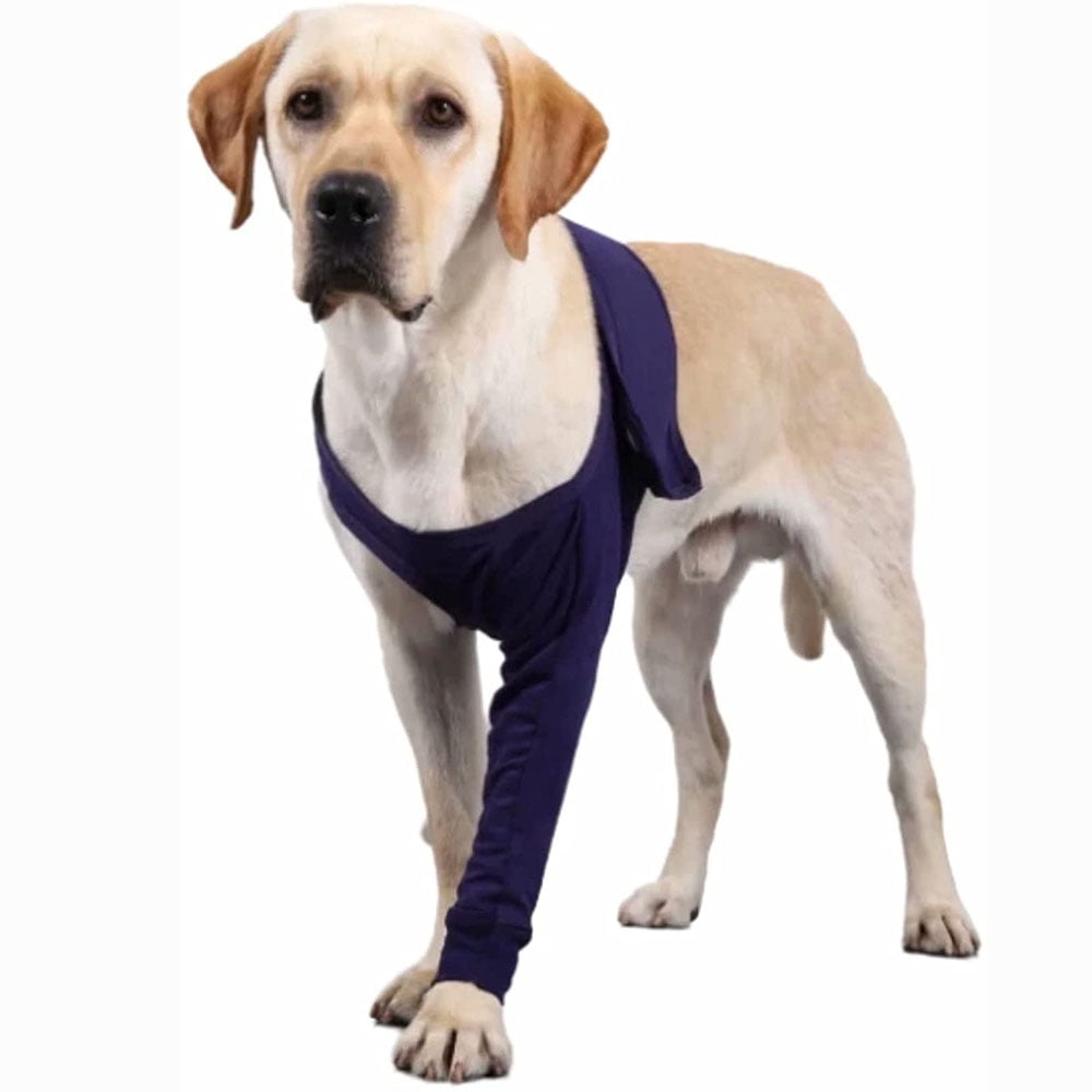 How Long Should A Dog Wear A Cone After Acl Surgery