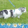 thumbnail image 2 of czcpp-Cat Harness and Leash Set, Adjustable Kitten Harness Escape Proof Cats Harness, Soft Lightweight Walking Travel Pet Harness, Cute Kitty Harness Leash Set for Small Medium Cats, Blue Daisy, 2 of 4