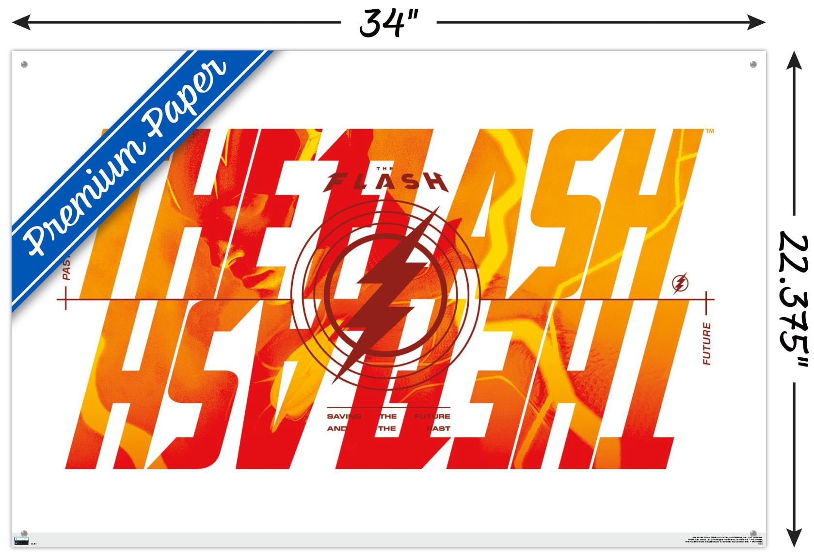 DC Comics Movie The Flash - Reverse Wall Poster with Pushpins, 22.375" x 34"