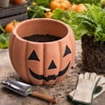 thumbnail image 6 of Halloween Pumpkin Planter Outdoor Large Jack O Pumpkin Resin Flower Pot 11.4x9.4 Inch Halloween Pumpkins Plant Pots for Indoors Outdoors Home Garden Patio Entryway Decorations, 6 of 6