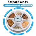 thumbnail image 3 of Comedero automático para gatos Pawise, 6 comidas, alerta de chirrido de pájaros, 3 of 7