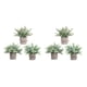thumbnail image 4 of Wosthever 3 unids/set plantas verdes simuladas para decoración de escritorio añaden vitalidad al conjunto de bonsái artificiales del espacio TZ070Pulsador cilíndrico 2Conjunto, 4 of 6