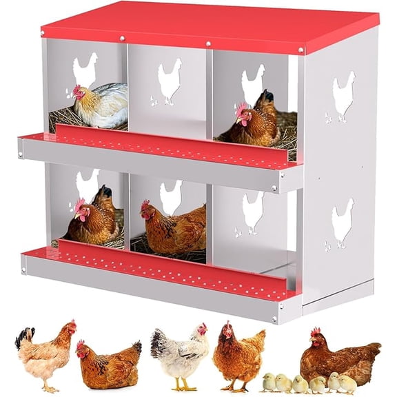 OUTGOODS 6 Compartments Chicken Nesting Box,Metal Laying Boxes for Chicken Hens Poultry Ducks Protect Eggs Chicken Coop Easy Egg Collection Wall Mount Nest Box for Chicken Coop