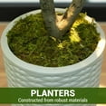 thumbnail image 5 of 7Ft Fake Black Olive Tree with Pot, Indoor/Outdoor Faux Olive Plant for Living Room, Home Office, Entryway, Restaurant, Store & Wedding Decor Housewarming Gift, 5 of 7