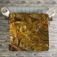thumbnail image 3 of Ambesonne Nature Quilted Bedspread Set 3 Pcs, Autumn Foliage Forest, King Size, Brown Amber Marigold, 3 of 3