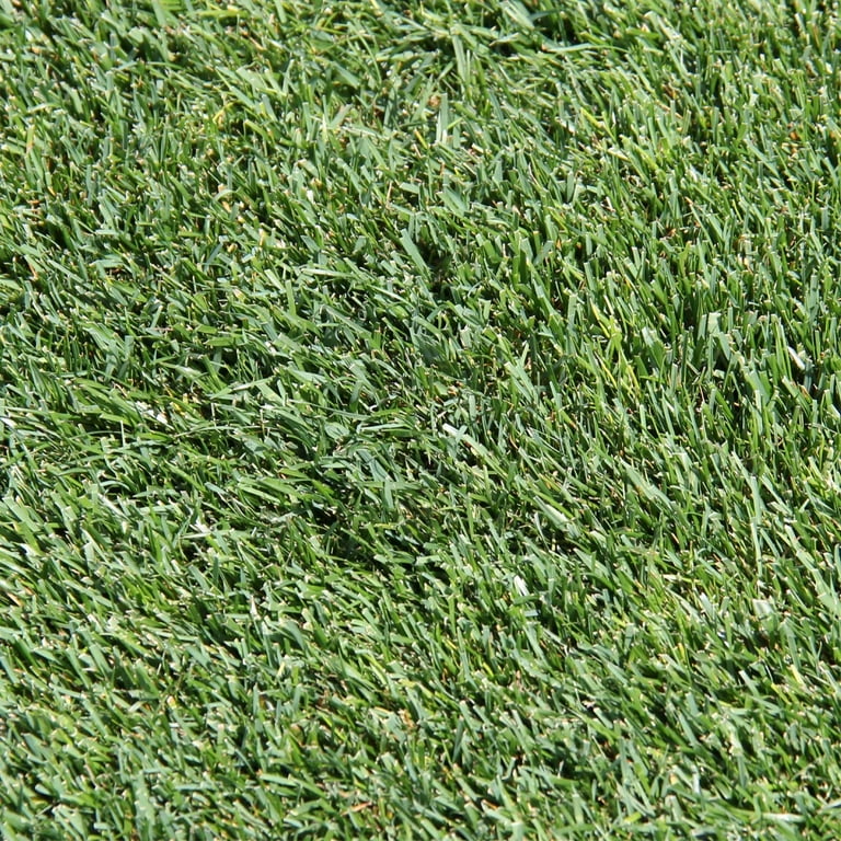 【限定】WHAT WE WANT CAMP2022 HASAMUYATSU Puma Smash 3.0 Nightkeeper VPS White Black Kids Preschool