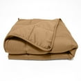 thumbnail image 1 of Quilted Microfiber Weighted Throw Blanket Taupe / 60"x80" 17lbs, 1 of 1