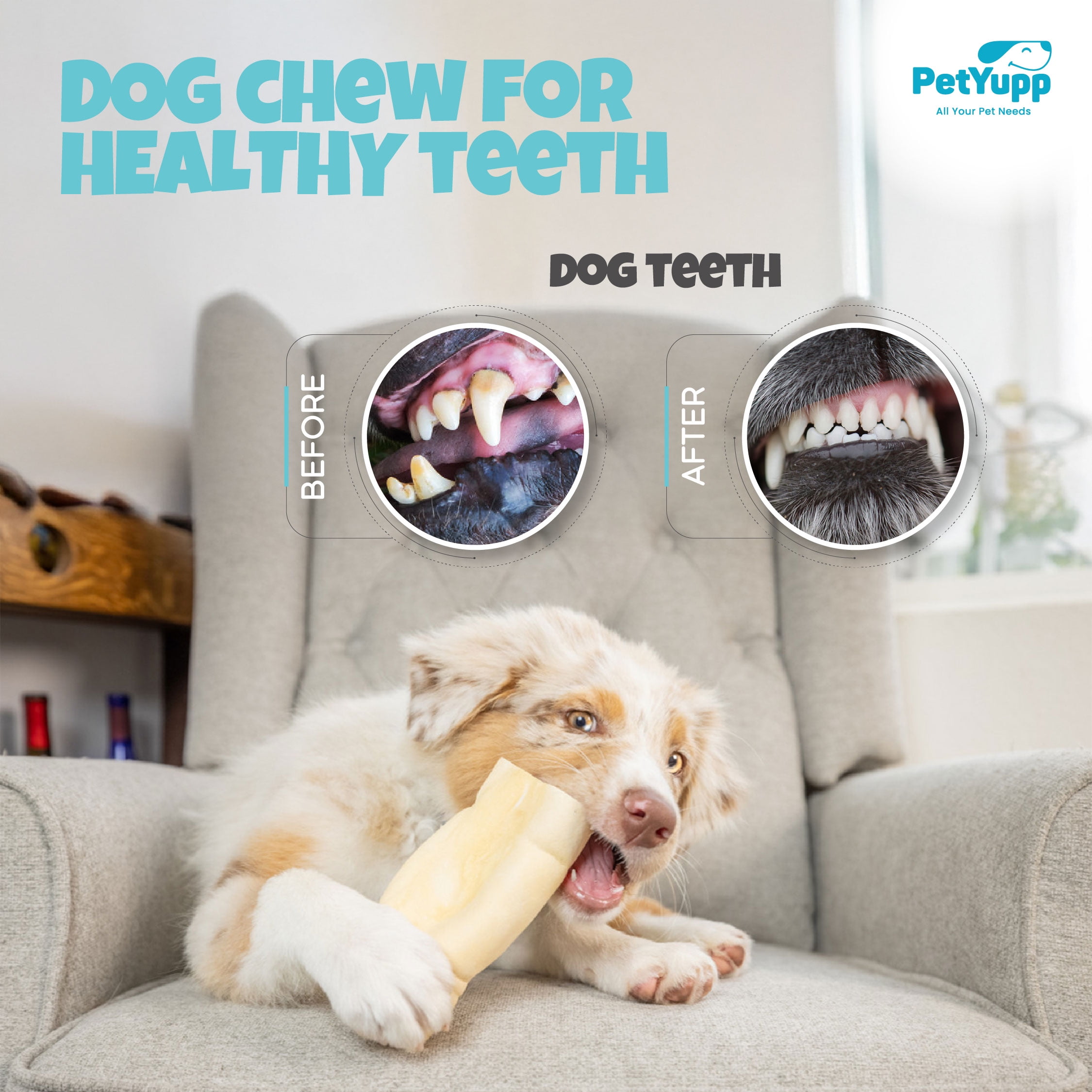 PetYupp Water Buffalo Cheek Roll Retriever Style for Dogs - Pack of 25 Pieces, 6 Inch Each