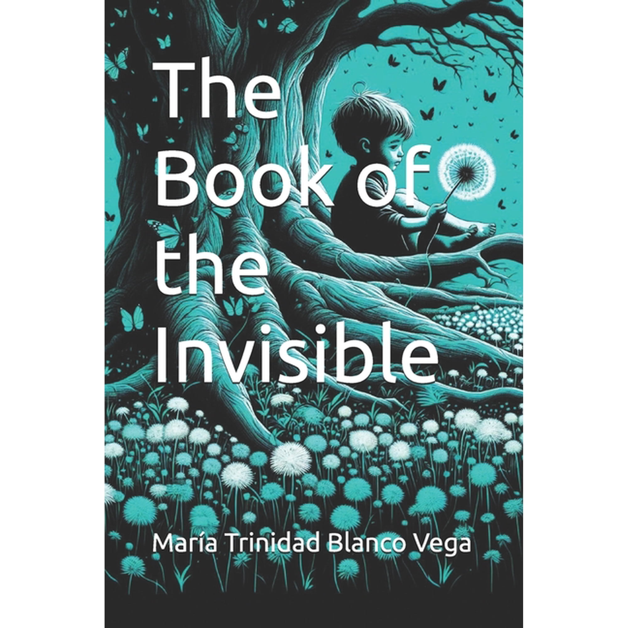 The Book of the Invisible, (Paperback)
