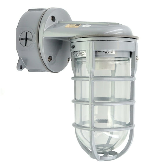 Red Dot 150-Watt Ceiling Mount Metal Cage Globe Light