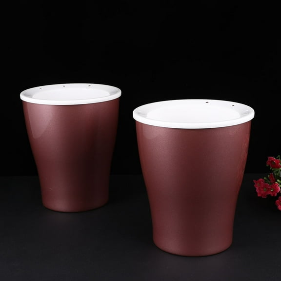 YSNOOWE 2Pcs Golden Fashion and Chic Self Watering Planter for Home Gardening