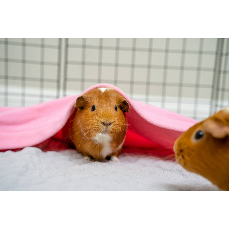 Younar Guinea Pig Cage Mat - Small Animal Bedding Hamster Bunny