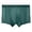Green, variant on Mens Underwear,Briefs Ultra Thin Mesh Ice Silk Breathable Air Conditioning Style Traceless Daily Wear,Men's Underwear,Green,3XL