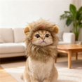 Lions Maine Rabbit Lion Mane Costume for Cats, Rabbit, Small Dog, Dog Hat, Pet Cute and ...