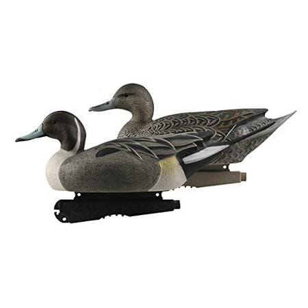 Greenhead Gear Over-Size Duck Decoy Pintails 1/2 Dozen