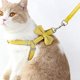 thumbnail image 2 of Collar transportador para perros con lazo suave y doble para gatos, apto para mascotas pequeñas y medianas (4-6 kg), 2 of 5