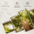 thumbnail image 6 of Elephant Stock Waipoua Kauri Trees Wall Art - Horizontal Multi Panel Canvas - Living Room Wall Decor - Floral And Botanical Multi Panel - Green And Gray Decor - 80" x 36", 6 of 8