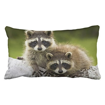 WinHome Decorative Pretty Raccoon Gift Throw Soft Pillowcases Decorative Best Birthday Gift Pillowcase Art Design Pillow Cover Pattern Personalized Custom Pillowcases Size 20x30 (Best Cover Art Downloader)