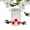 Clear, variant on LACKUST Bird Feeders Outdoor Clearance,Portable Hanging Hummingbird Feeder with Clear Reservoir - 500ml for Outdoor Garden and Patio Decoration,As Show