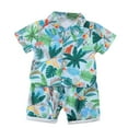 thumbnail image 1 of Odeerbi 1-8 Años Conjunto de Verano Para Niños de Hawaianos Camiseta de Manga Corta de Algodón Con Estampado Tropical Conjunto de Dos Piezas de Gráficos, 1 of 5