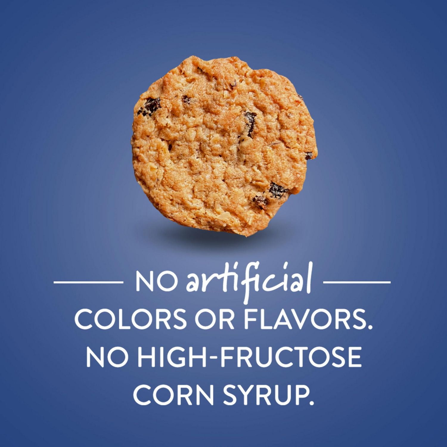 Voortman Bakery Oatmeal Raisin Cookies