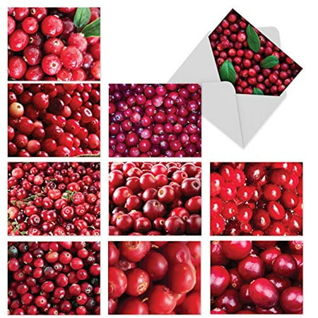 'M6023 VERY BERRY CHRISTMAS' 10 Assorted All Occasions Notecards Featuring Vibrant Close-Up Photographs Of Juicy Red Cranberries with Envelopes by The Best Card