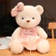 thumbnail image 1 of Cute Bear Plush Toy / Skirt and Bow Teddy Bear Doll / Couple Bear / Valentine's Day Giftstyle1-pink30cm Deng Xun unisex, 1 of 2