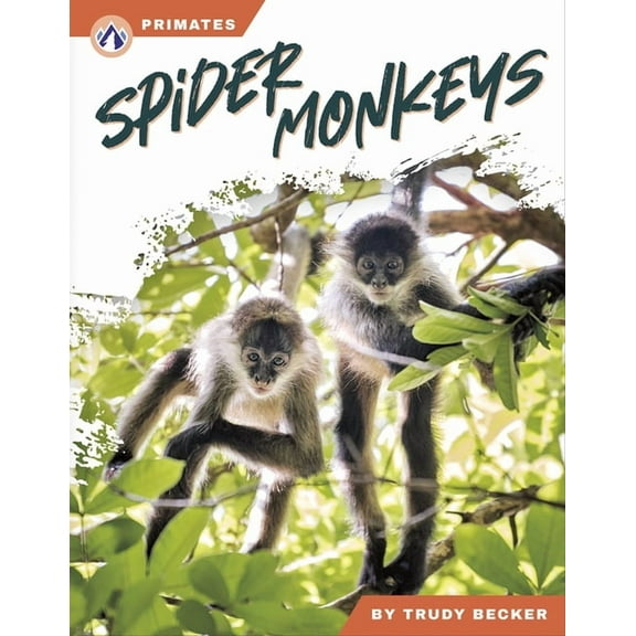 Spider Monkeys, (Hardcover)