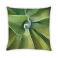 thumbnail image 2 of Ahgly Company Plants Leaves Outdoor Throw Pillow, 18 inch by 18 inch, 2 of 6