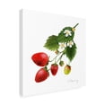 thumbnail image 2 of Grace Popp 'Strawberry Study II' Canvas Art, 2 of 3